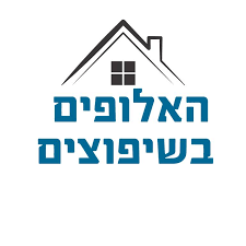 שיפוצים כלליים