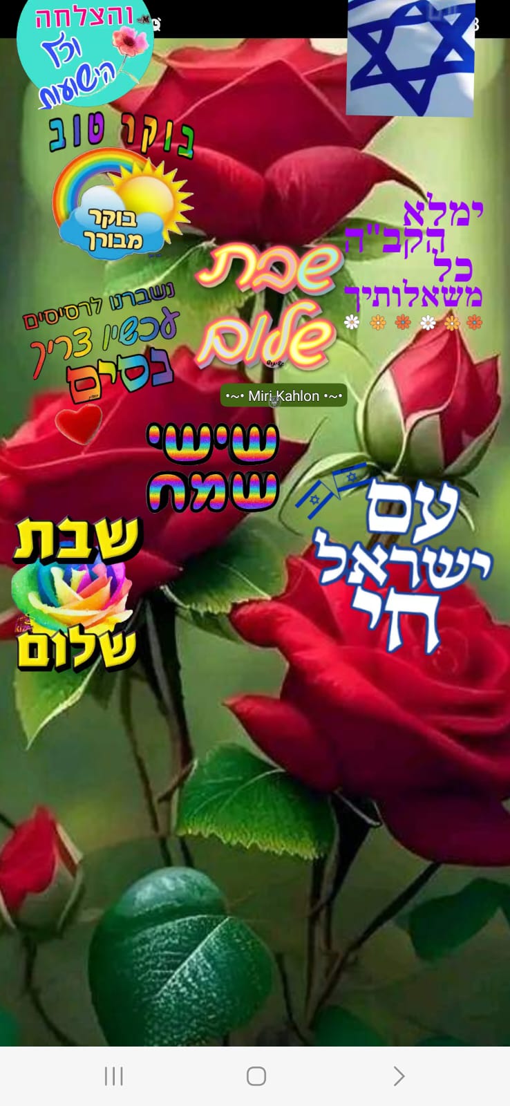 אייל